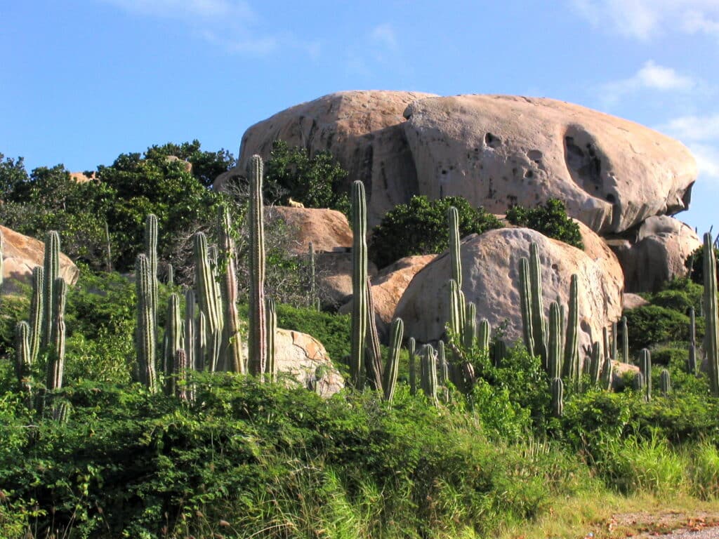 VacaySaver Reviews Aruba's Natural Wonders